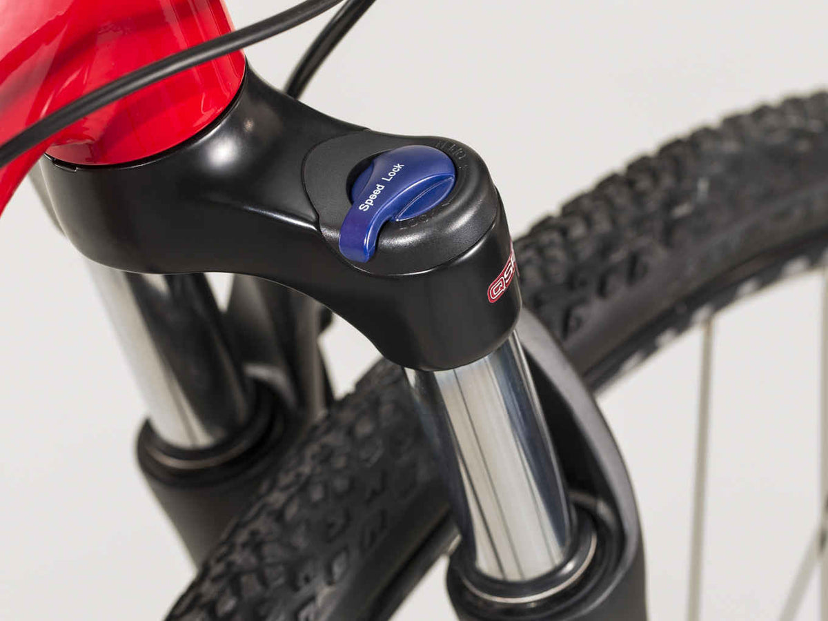 Trek Dual Sport 2