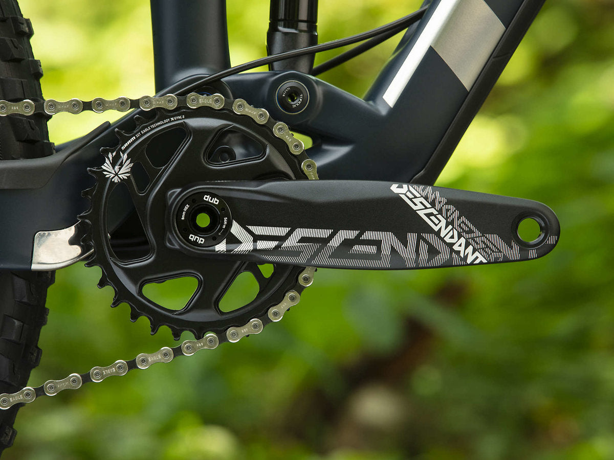 Trek Remedy 9.8