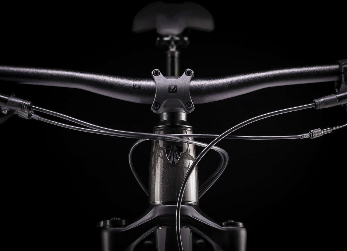 Trek Roscoe 7