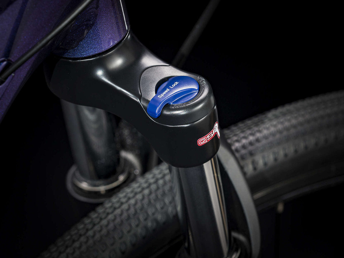  Trek Dual Sport 3 Women's