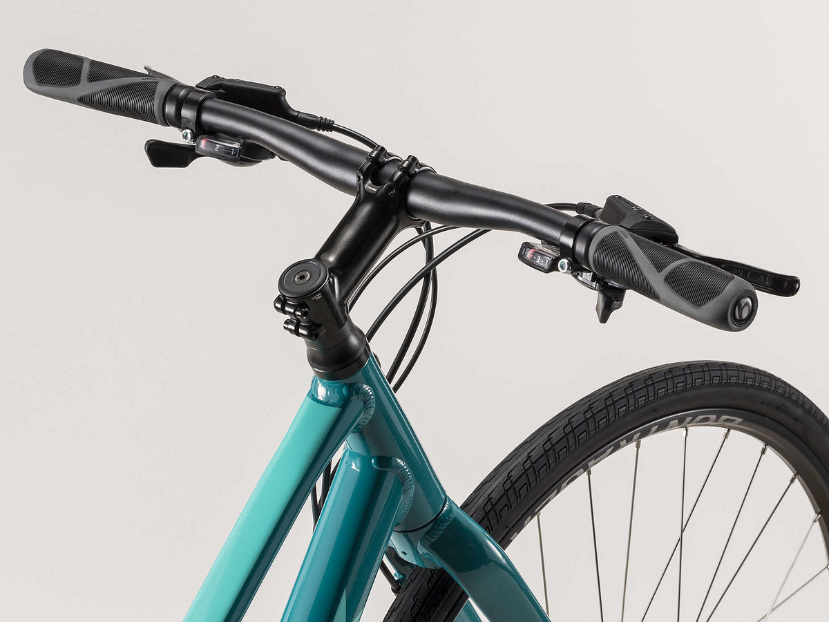  Trek FX 2 Disc Women's Stagger