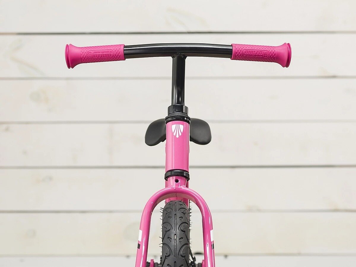  Trek Kickster